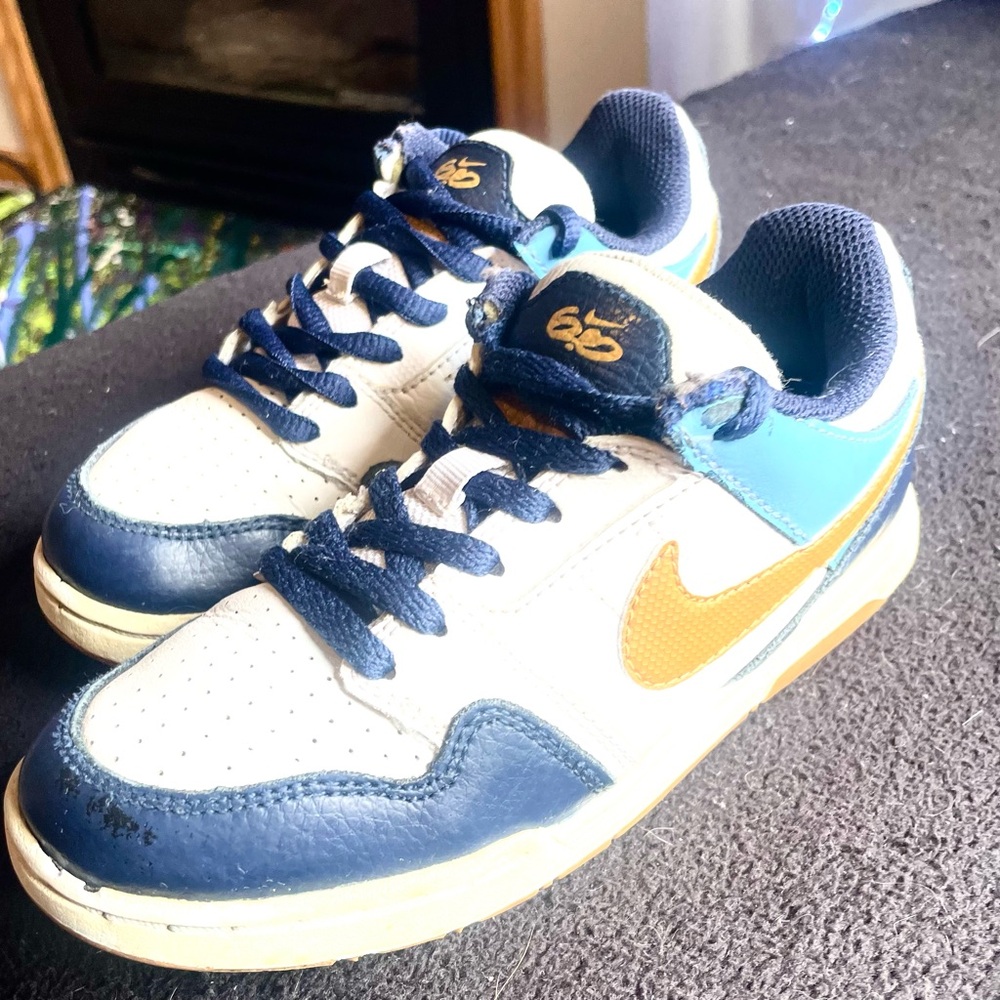 Children’s Nike Dunks! Special Edition!